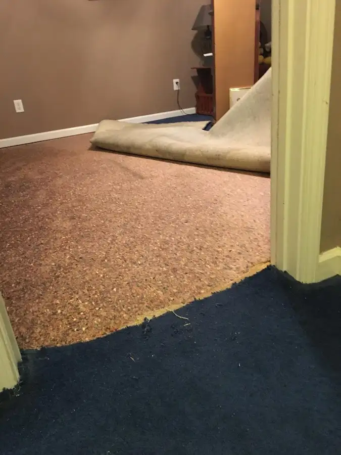 Carpet pad removal revealing water damage during Drying & Dehumidification in Montvale