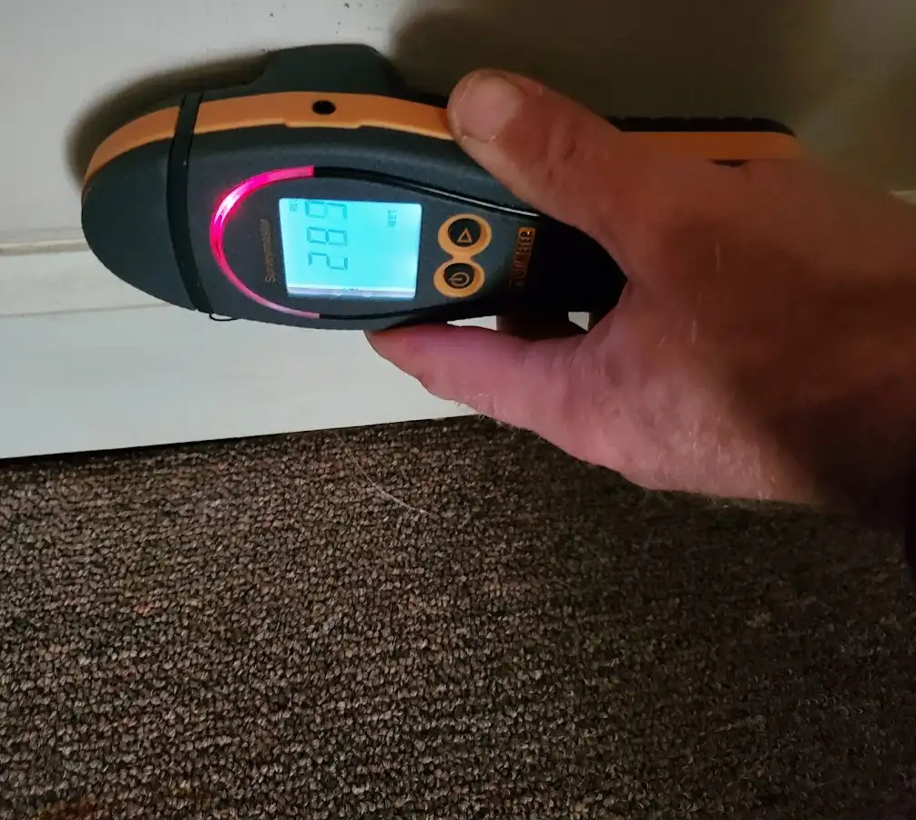 Moisture detection at baseboard during Mold Inspection & Testing in Montvale